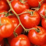 Scatole per Pomodori